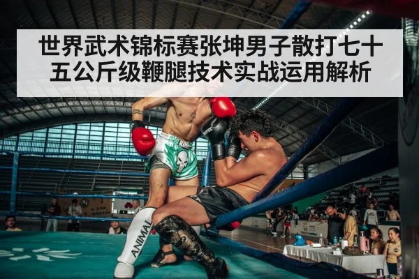世界武术锦标赛张坤男子散打七十五公斤级鞭腿技术实战运用解析（williamhill）